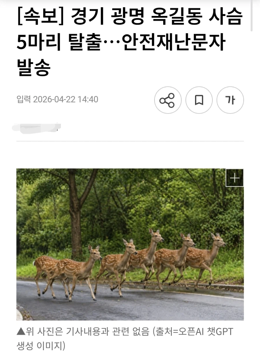 늑구야 넌 우리의 희망이였여_1.webp