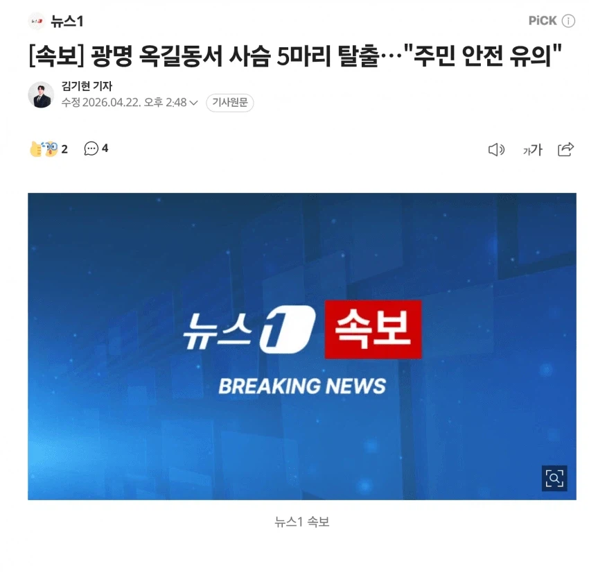 늑구 시즌2_1.webp