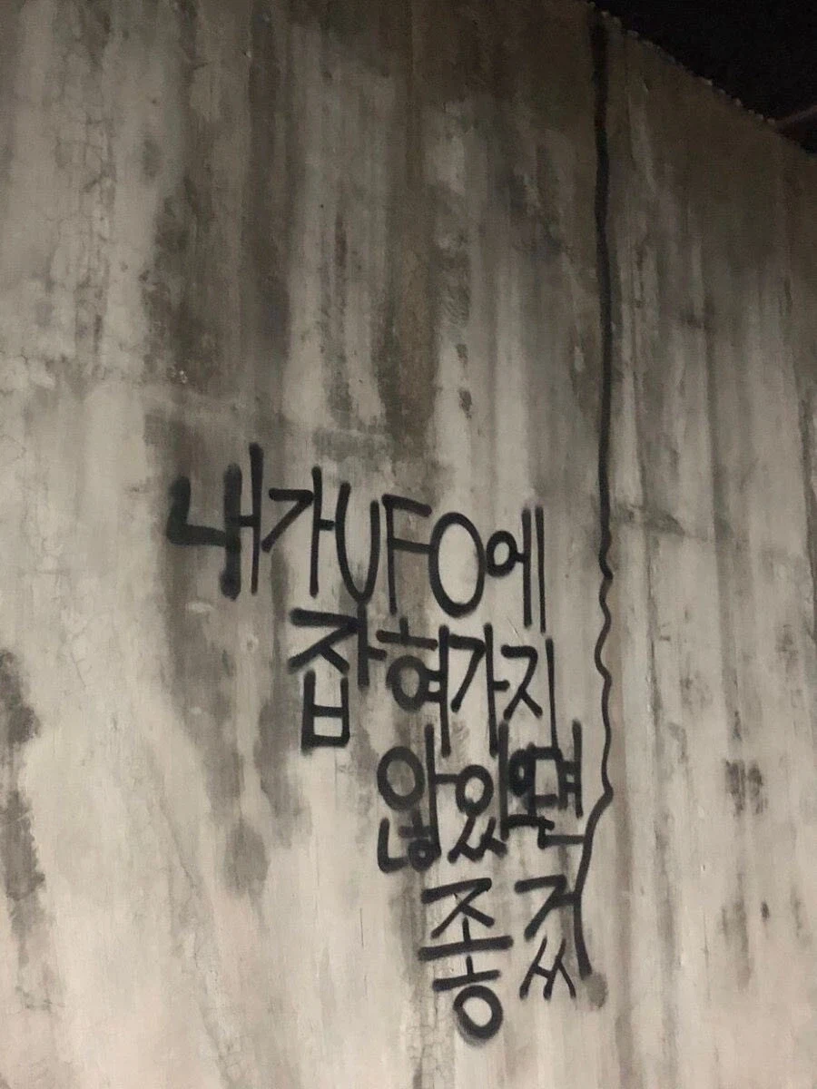 낙서하다 외계인에게 납치된 흔적.jpg_1.webp