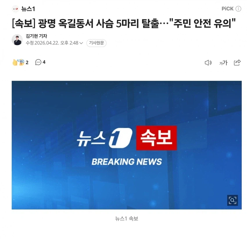 시슴.. 시슴을 조심하십시오.jpg_1.webp