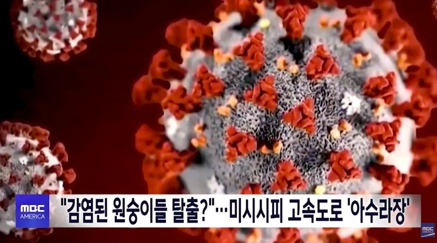 늑구 탈출보다 무서운 원구 탈출_2.webp