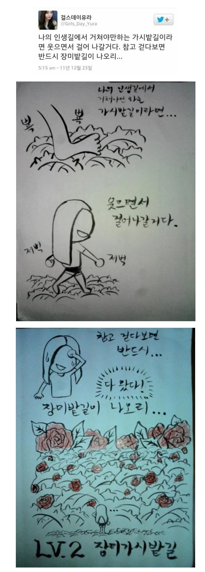 참고 견디면 장미밭길이 나온다는 연예인_1.webp