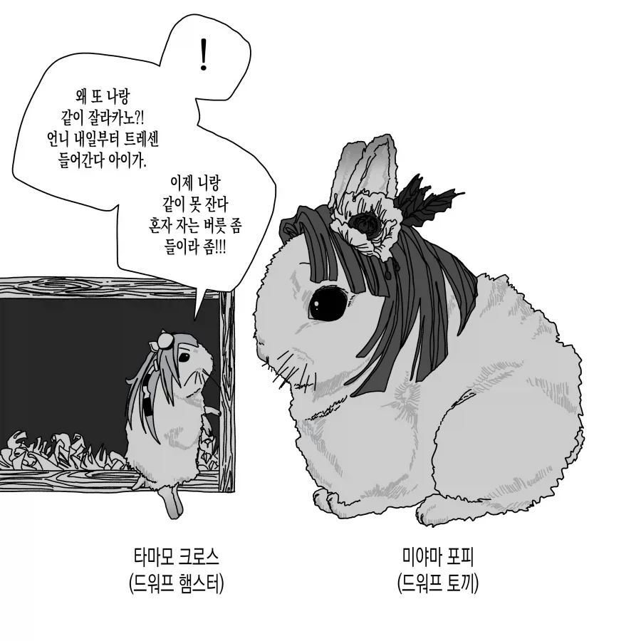 노누체 해법 극과 극_1.webp