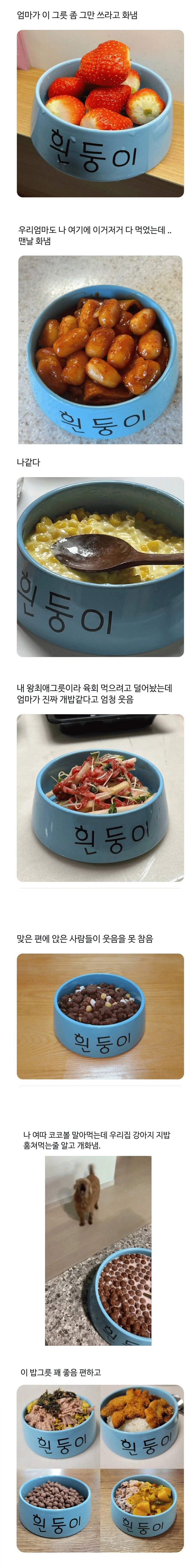 엄마가 이 그릇 좀 그만 쓰라고 화냄_1.webp