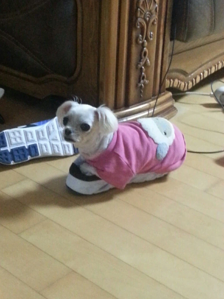 나 운동갈끄야 나와_1.webp