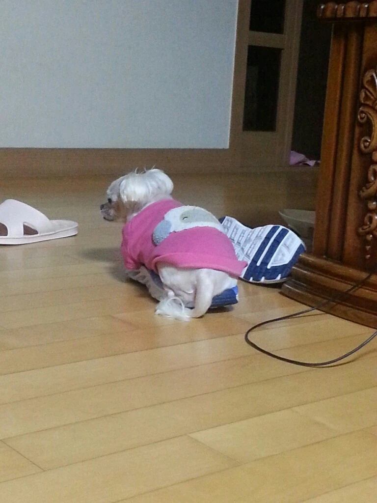 나 운동갈끄야 나와_2.webp