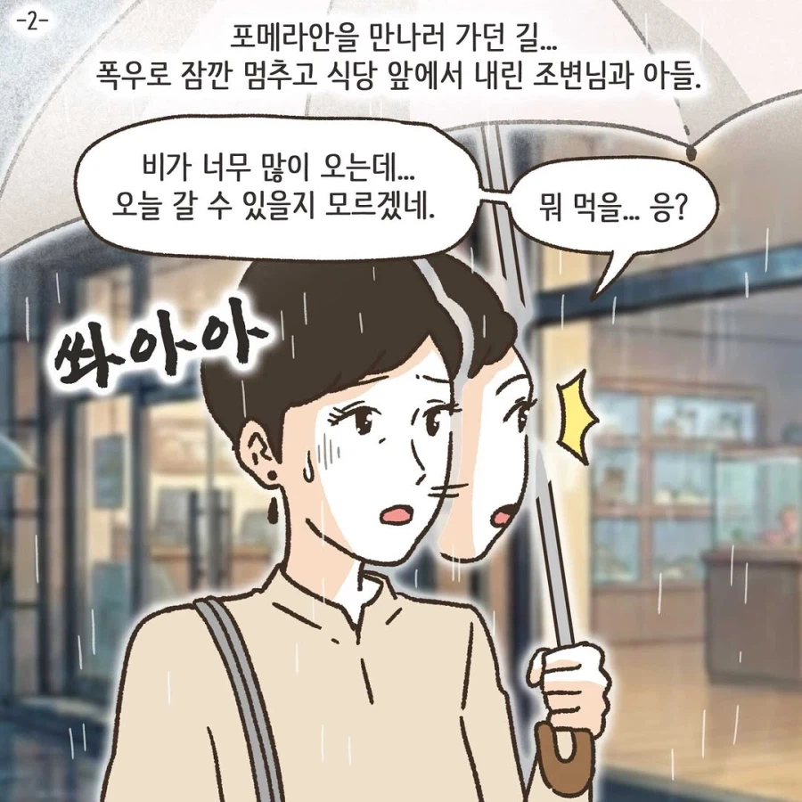 이혼변호사와 첫째냥이 이야기_1.webp