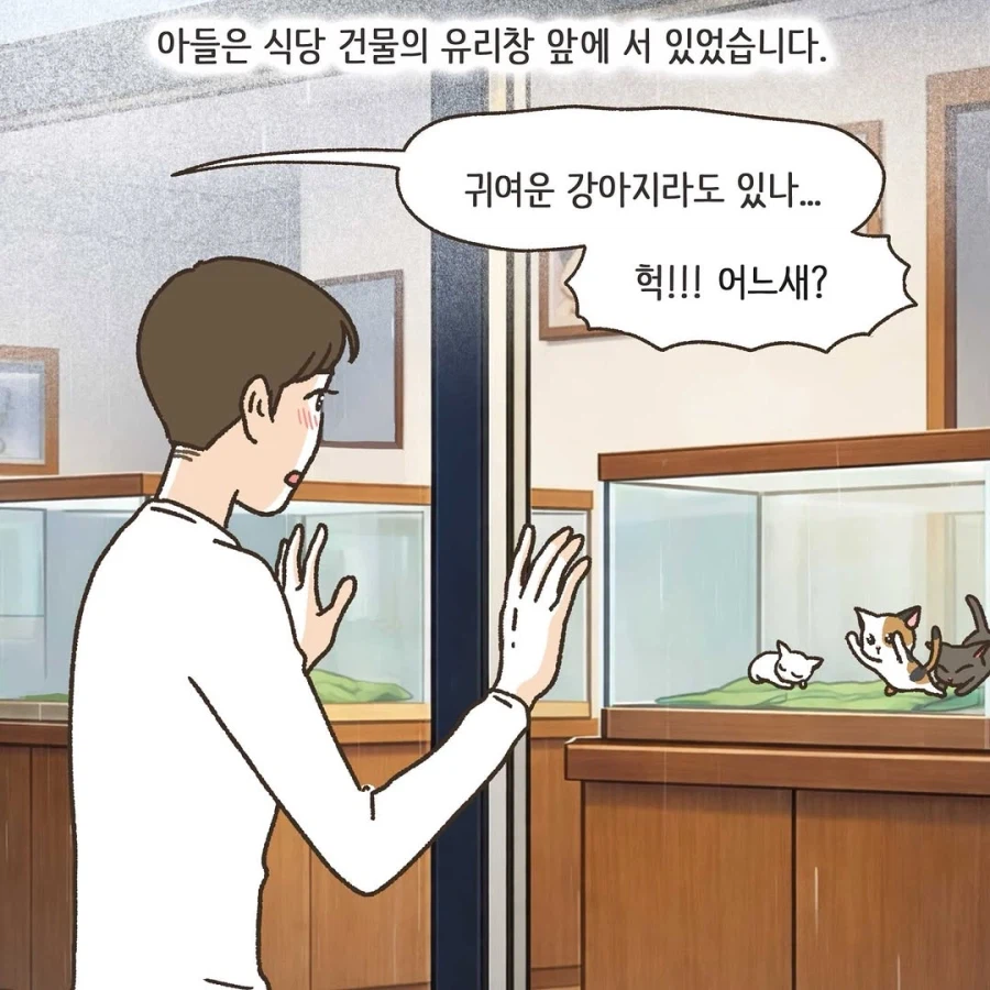 이혼변호사와 첫째냥이 이야기_2.webp