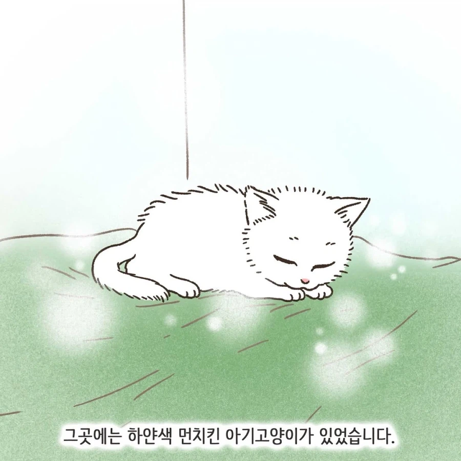 이혼변호사와 첫째냥이 이야기_3.webp