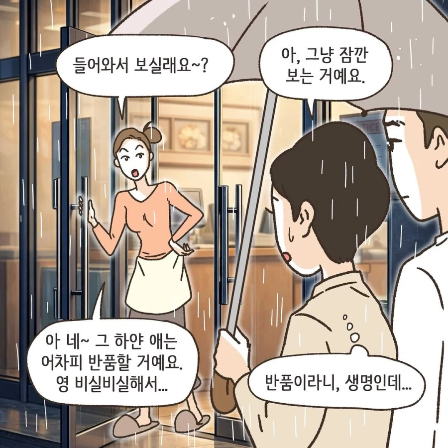 이혼변호사와 첫째냥이 이야기_5.webp