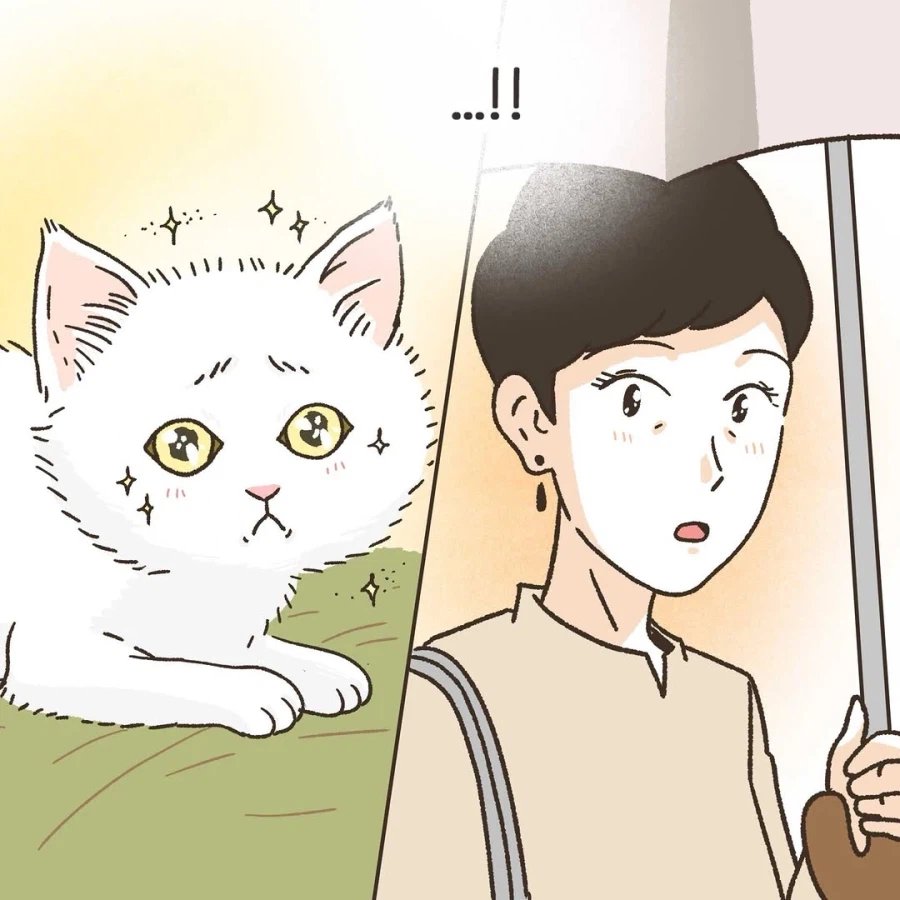 이혼변호사와 첫째냥이 이야기_7.webp