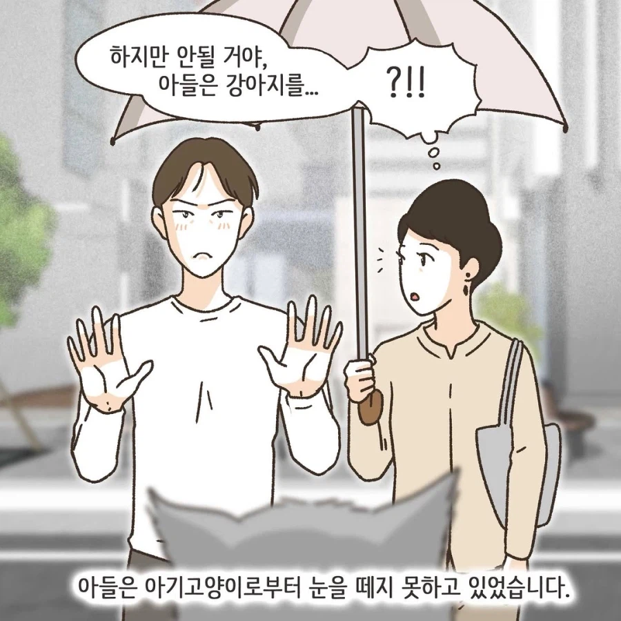 이혼변호사와 첫째냥이 이야기_8.webp
