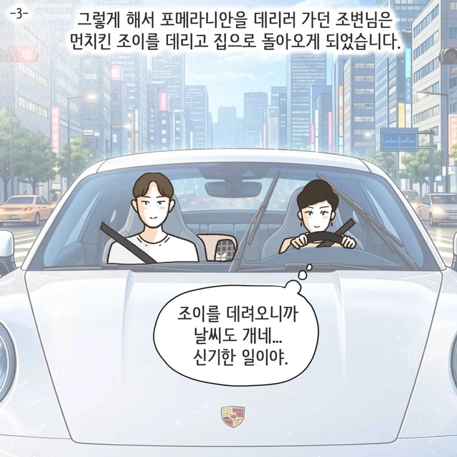이혼변호사와 첫째냥이 이야기_11.webp