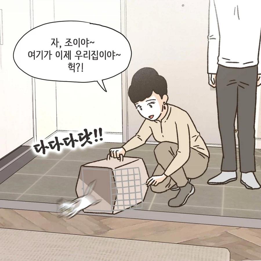 이혼변호사와 첫째냥이 이야기_12.webp