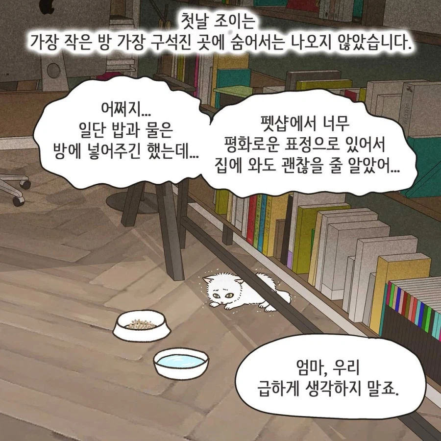 이혼변호사와 첫째냥이 이야기_13.webp