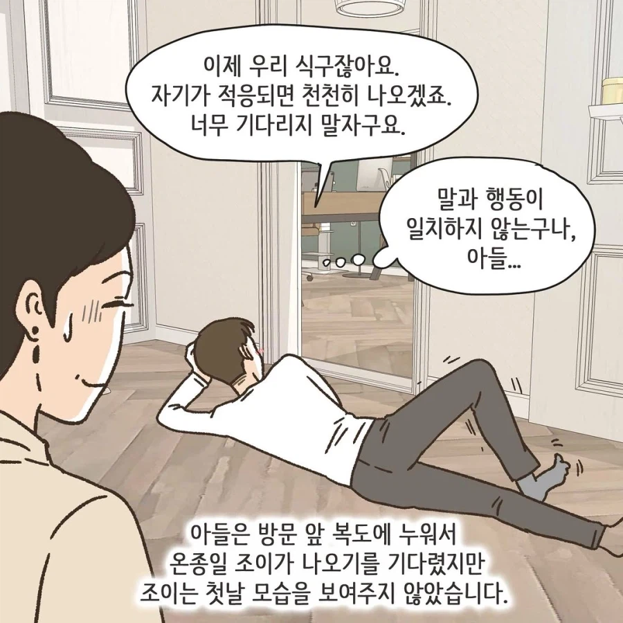 이혼변호사와 첫째냥이 이야기_14.webp