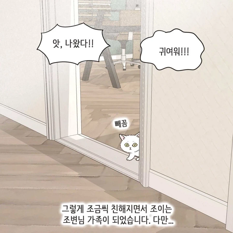 이혼변호사와 첫째냥이 이야기_16.webp