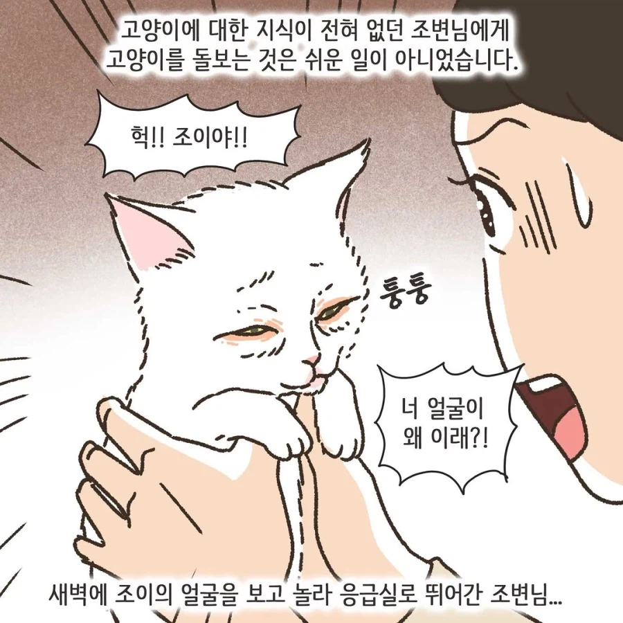 이혼변호사와 첫째냥이 이야기_17.webp
