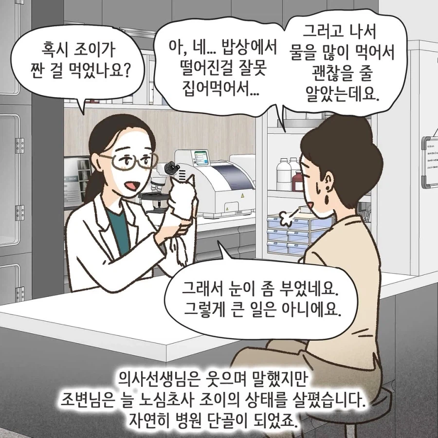 이혼변호사와 첫째냥이 이야기_18.webp