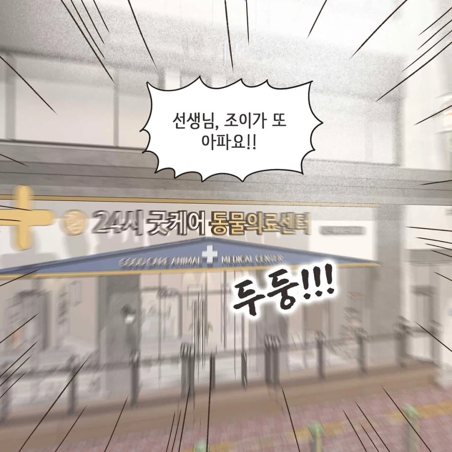 이혼변호사와 첫째냥이 이야기_19.webp