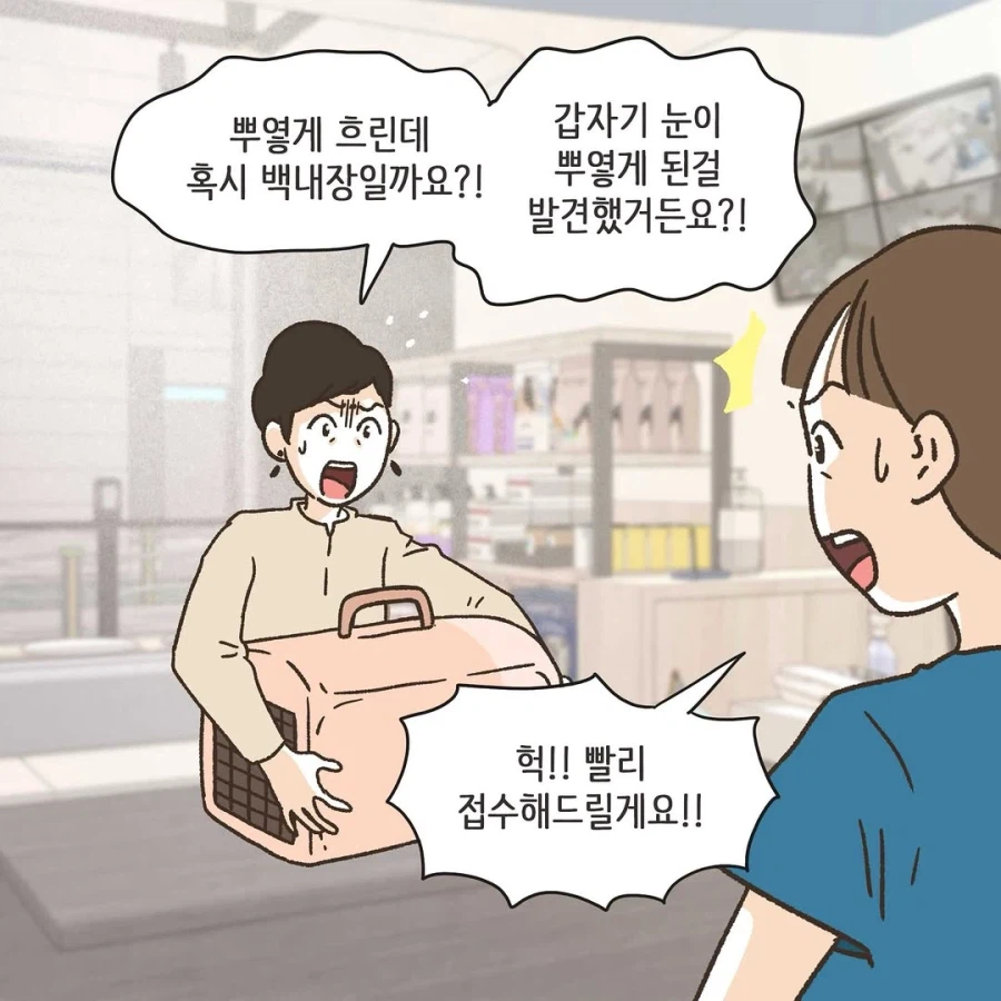 이혼변호사와 첫째냥이 이야기_20.webp