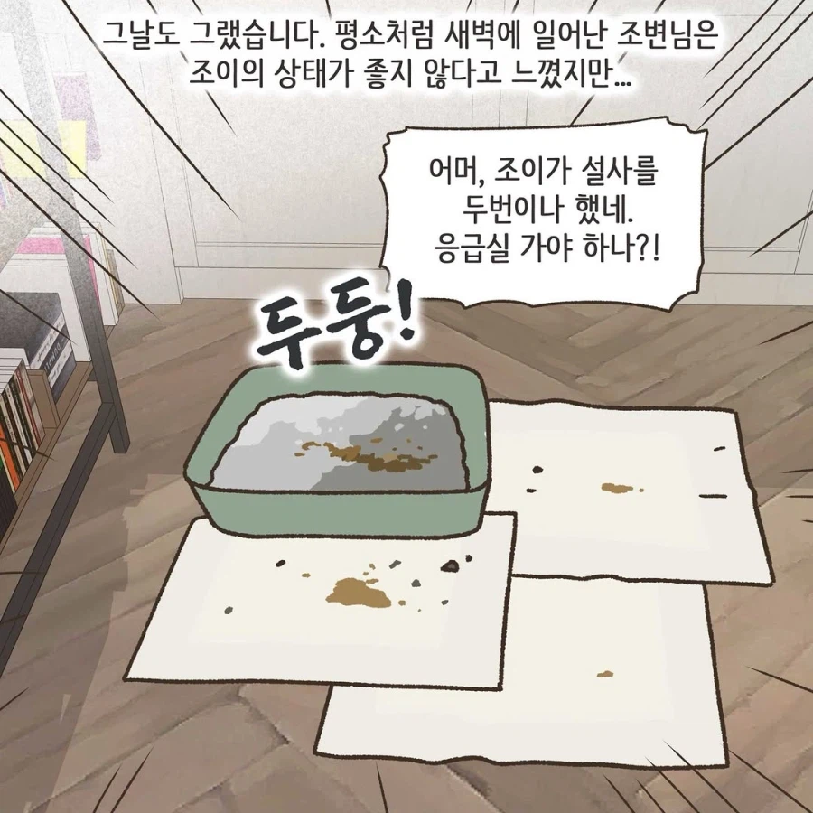 이혼변호사와 첫째냥이 이야기_24.webp