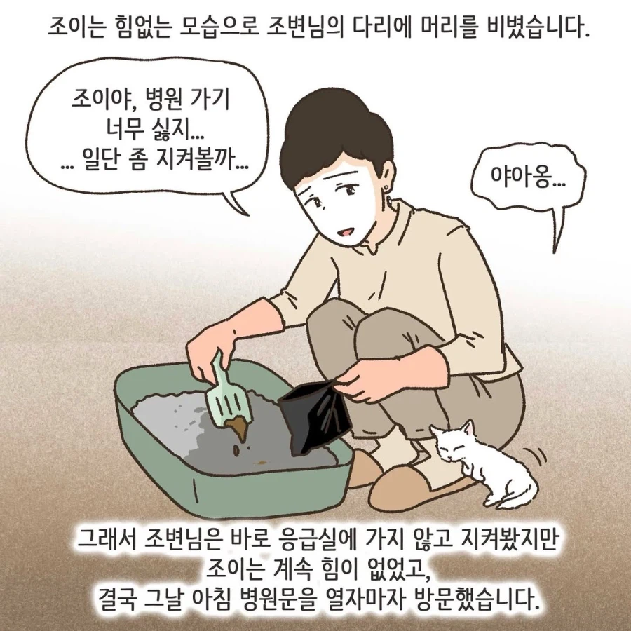 이혼변호사와 첫째냥이 이야기_25.webp