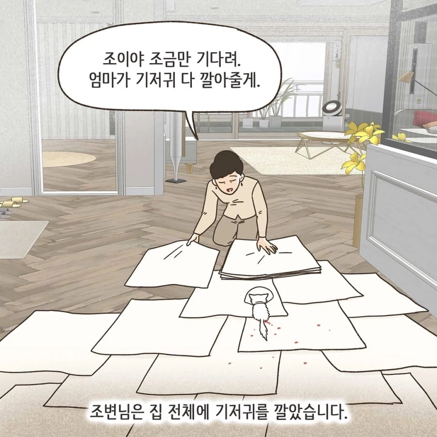 이혼변호사와 첫째냥이 이야기_32.webp