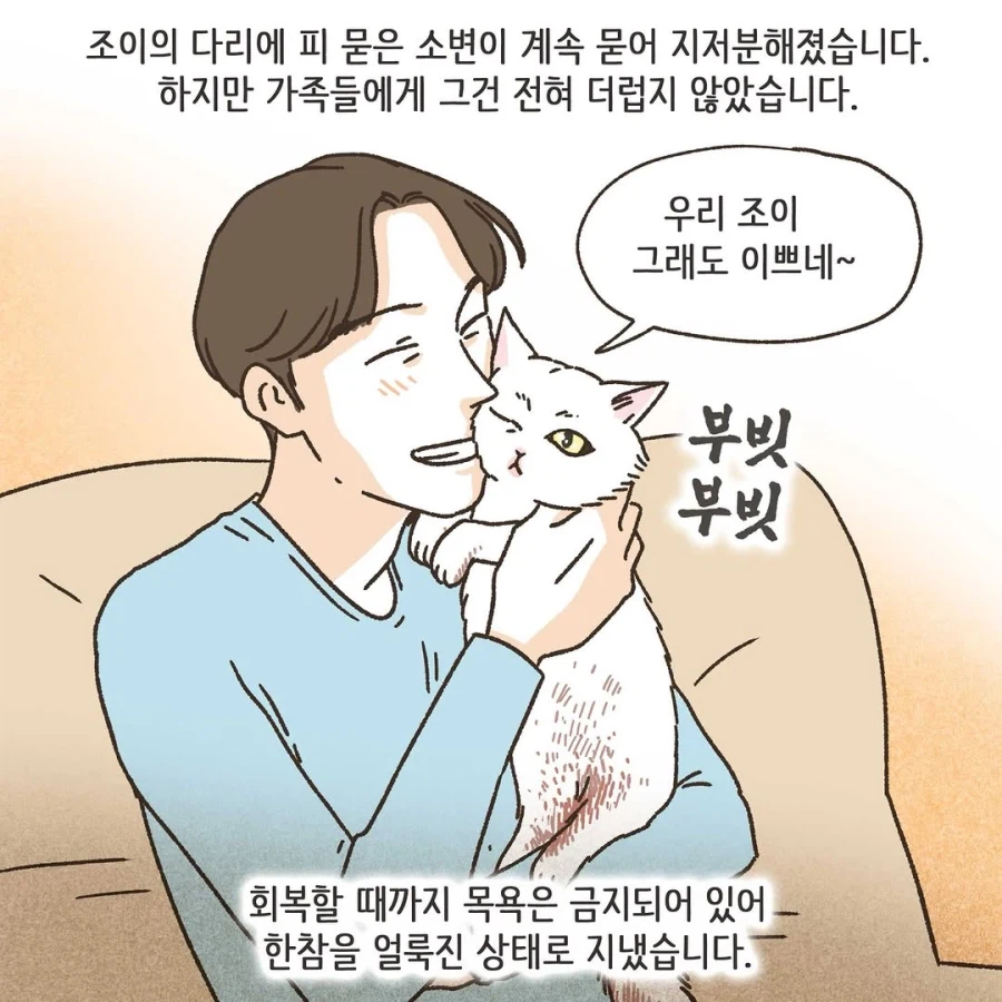 이혼변호사와 첫째냥이 이야기_33.webp