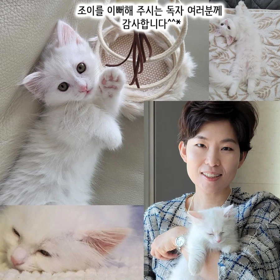 이혼변호사와 첫째냥이 이야기_40.webp