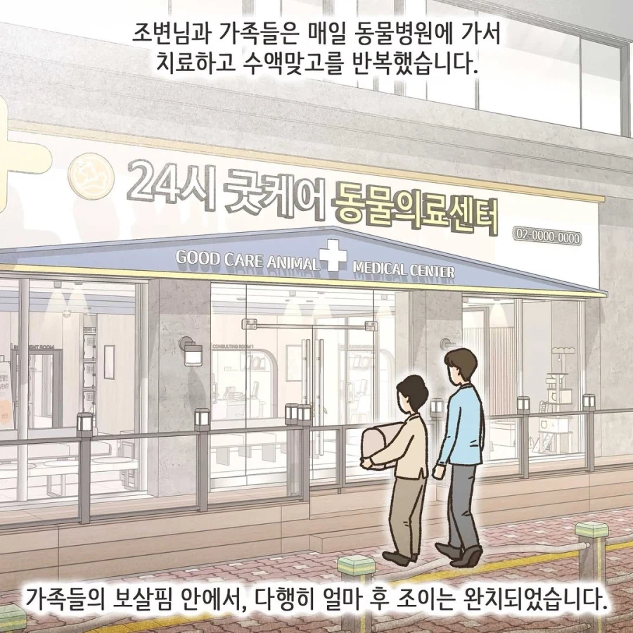 이혼변호사와 첫째냥이 이야기_34.webp