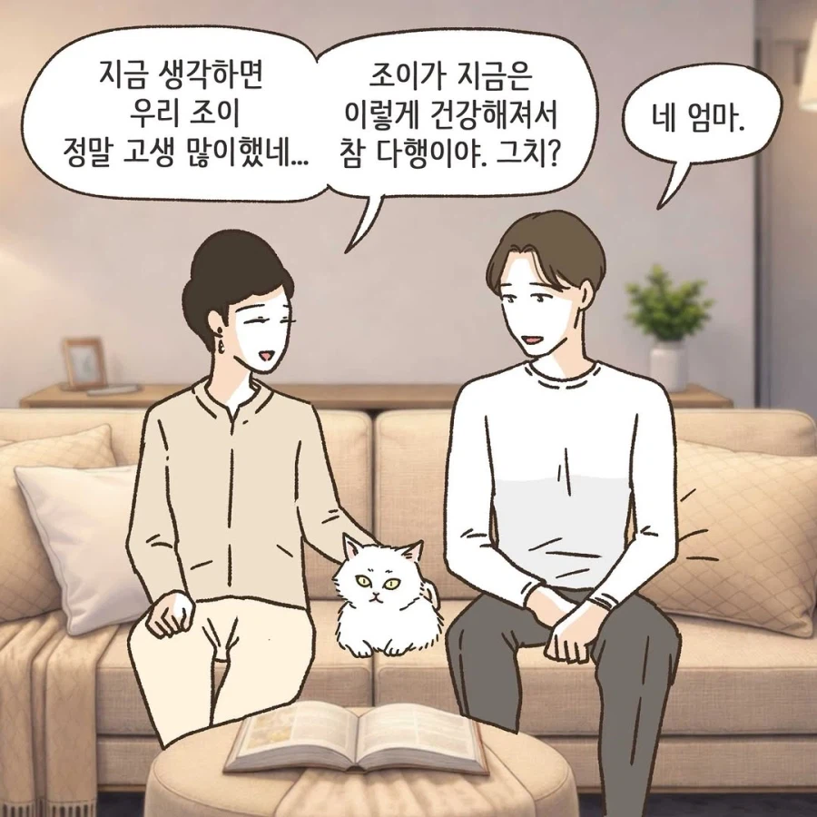 이혼변호사와 첫째냥이 이야기_35.webp