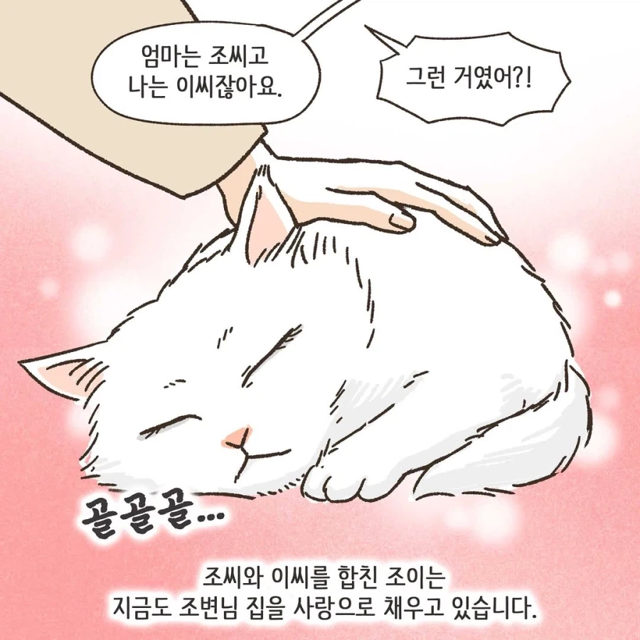 이혼변호사와 첫째냥이 이야기_37.webp