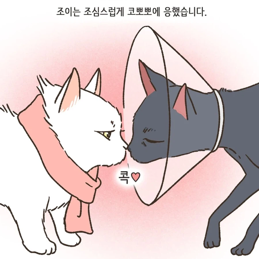 이혼변호사와 첫째냥이 이야기_47.webp