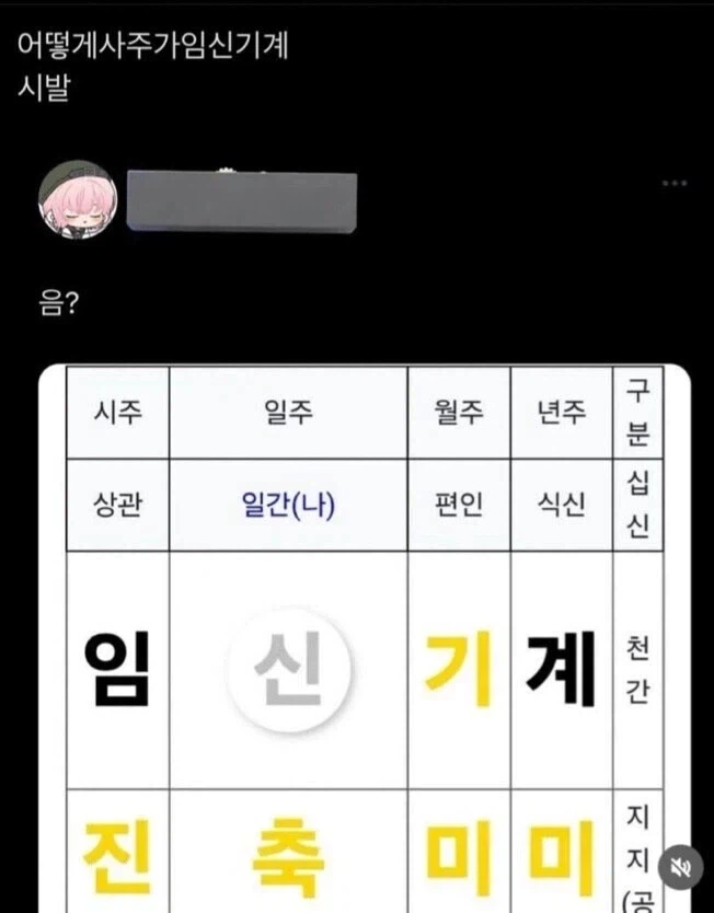 자기 사주가 이상하다는 사람.jpg_1.webp