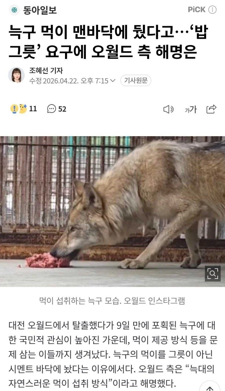 늑구맘 꼴깝떤다_1.webp