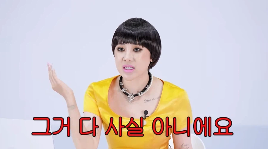 갑질은 진짜 안했다고 말하는 서인영.jpg_5.webp