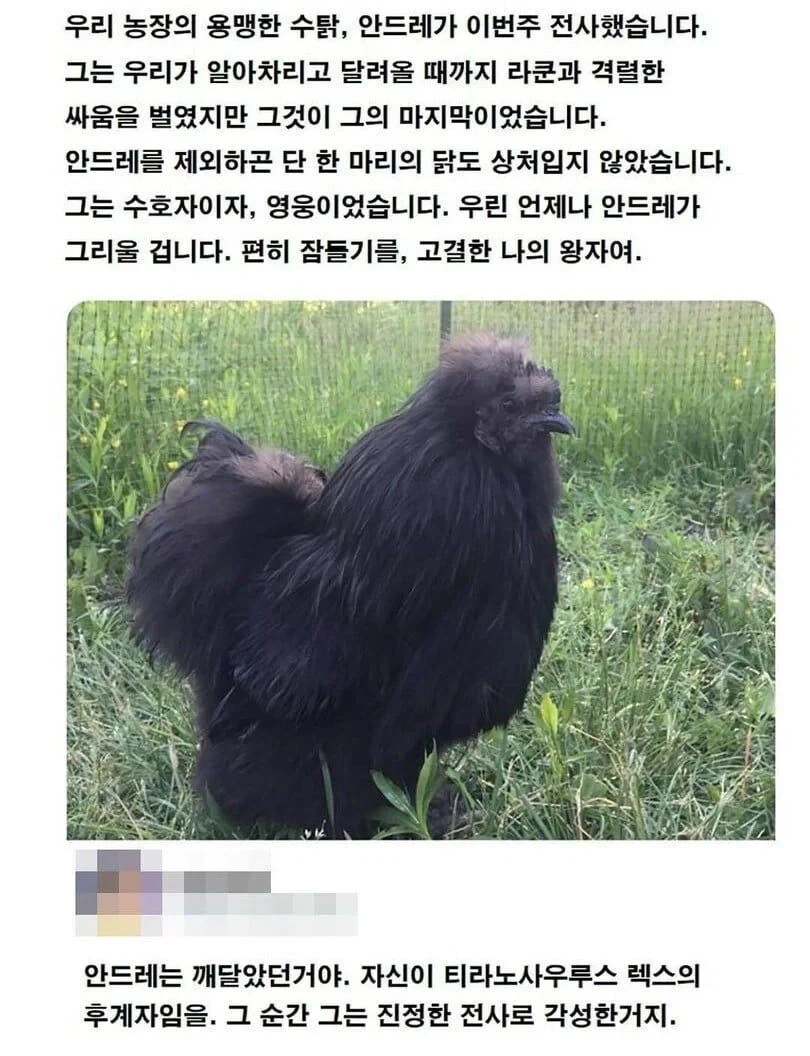 우리 농장의 영웅 안드레_1.webp