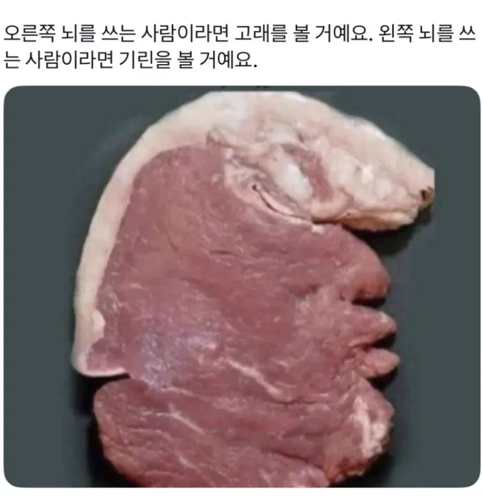 사람마다 다르게 보이는것_1.webp