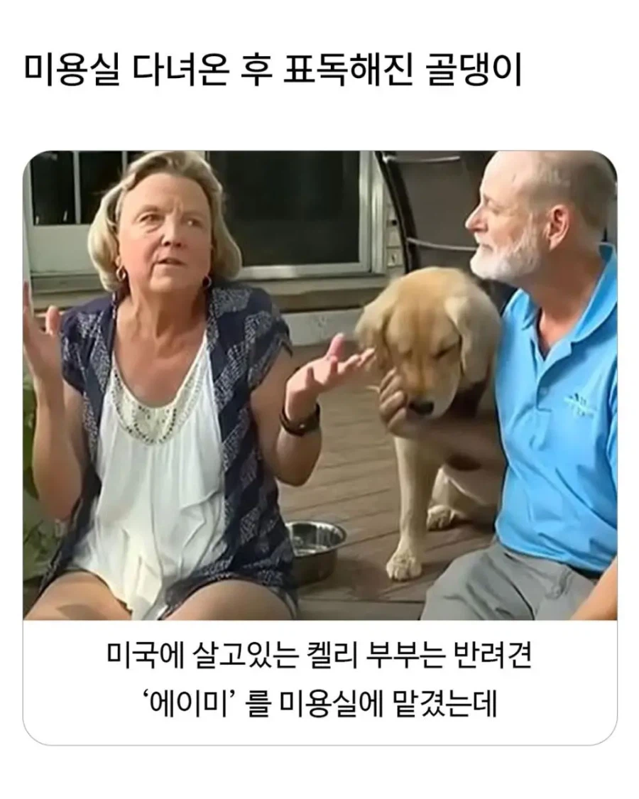 미용실 다녀온 후 표독해진 골댕이_1.webp