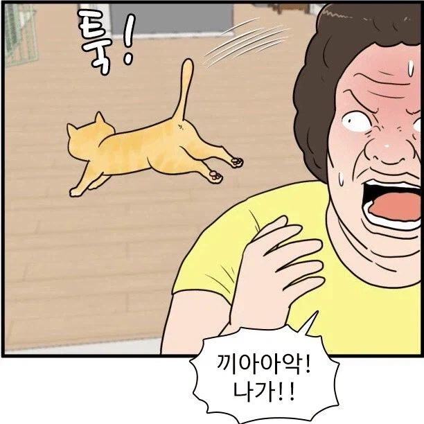 캣맘 레전드_2.webp