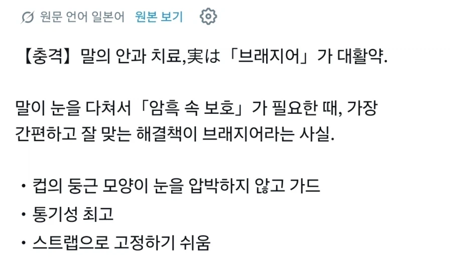 안과 치료받는 말_3.webp