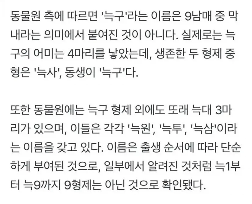 충격적인 늑구 형제들 이름_1.webp