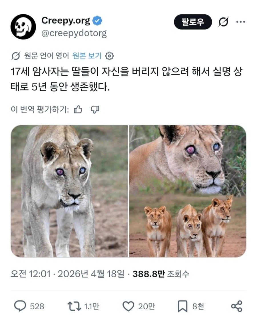 야생에서 5년 살기_1.webp