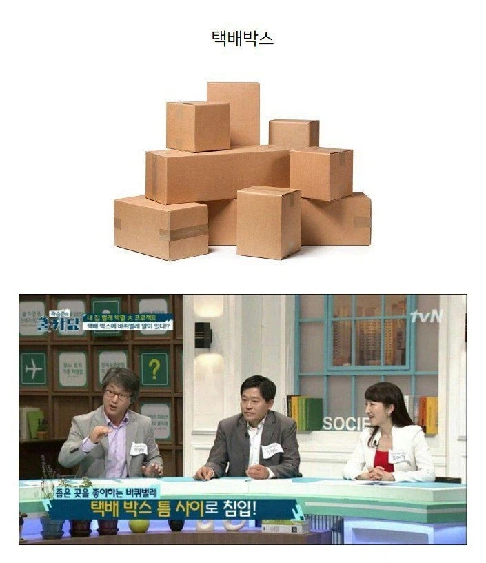 바퀴벌레 유입경로.jpg_1.webp