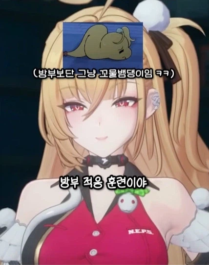 젠존제 신케 특_4.webp