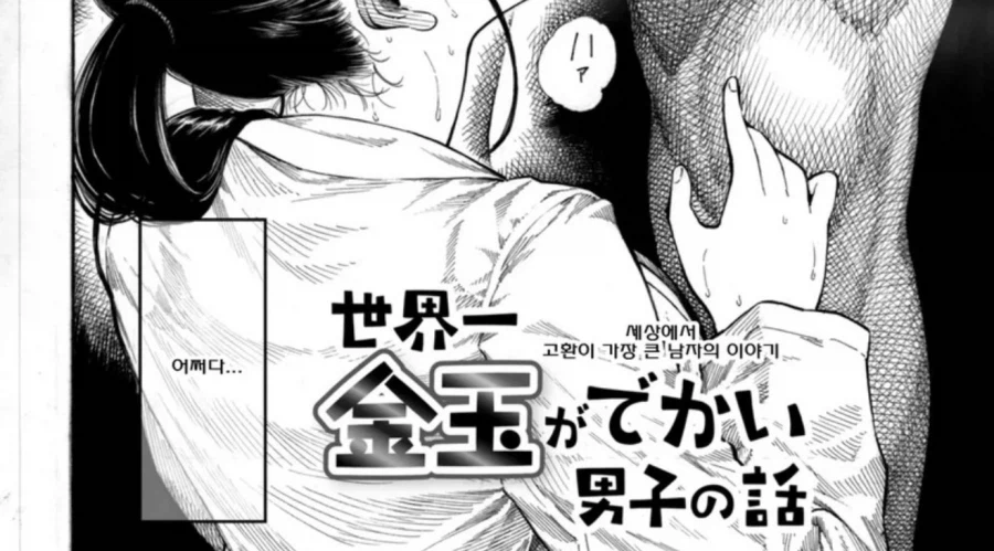 아씨누구지_2.webp
