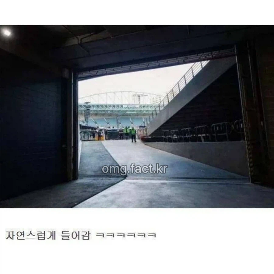 형광 조끼의 위엄_4.webp