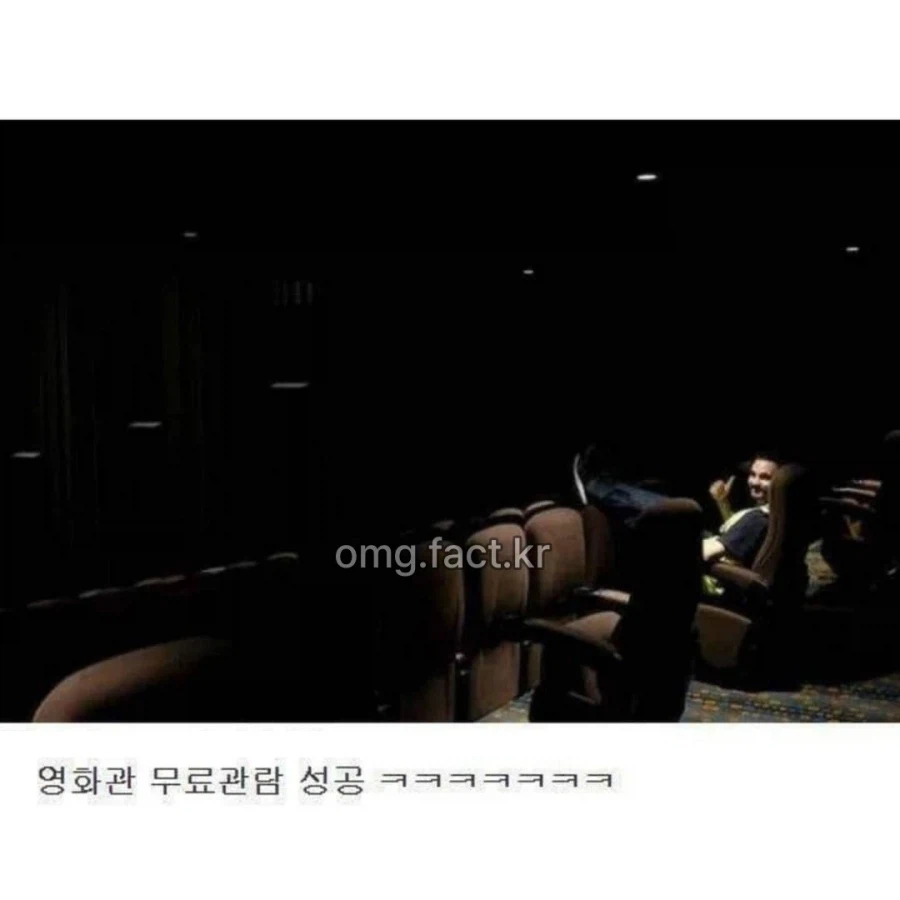 형광 조끼의 위엄_1.webp