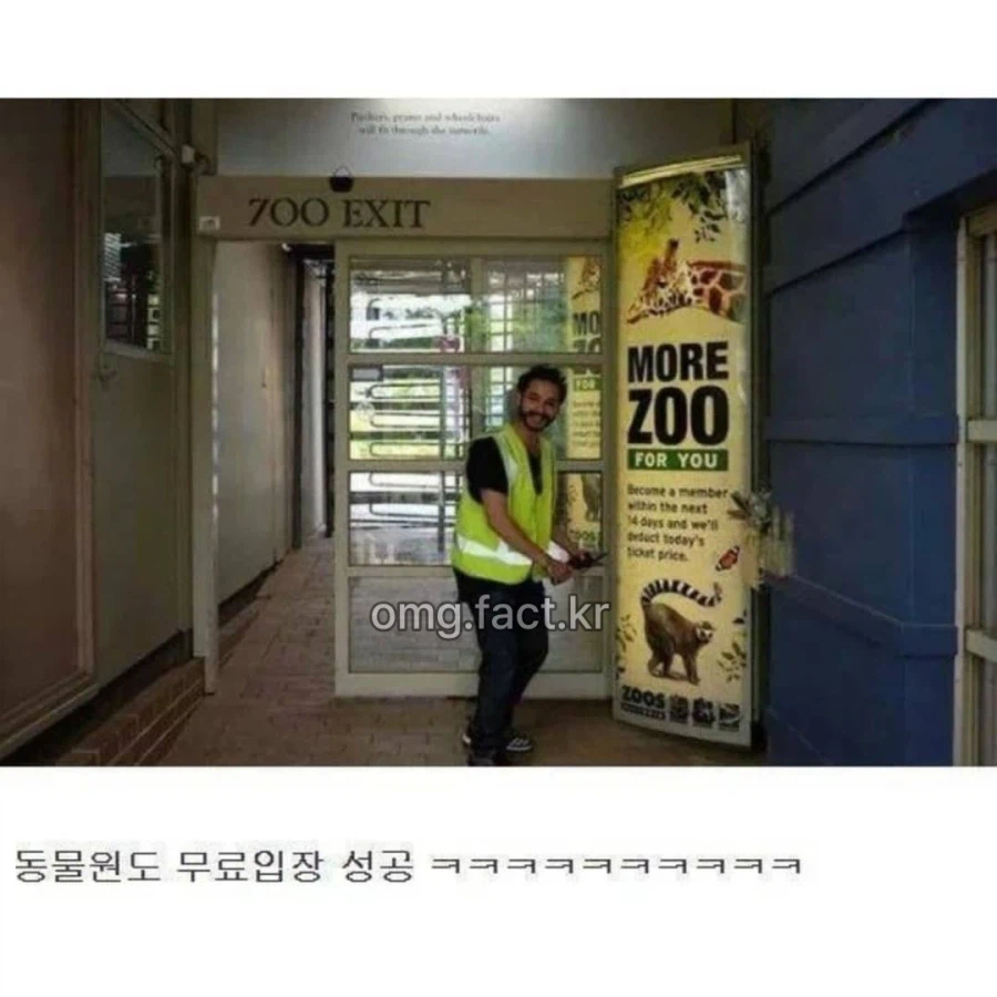 형광 조끼의 위엄_2.webp
